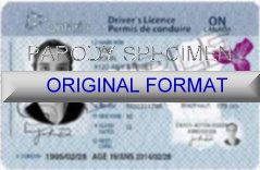 ontario fake driving license, ontario fakeids, ontario novelty id, fake driving license ontario