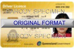 fakeids fake identification novelty idcards